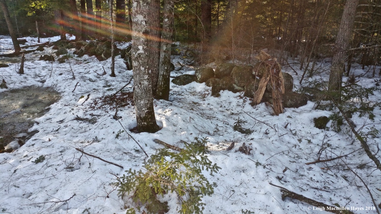 j12-my squirrel cache