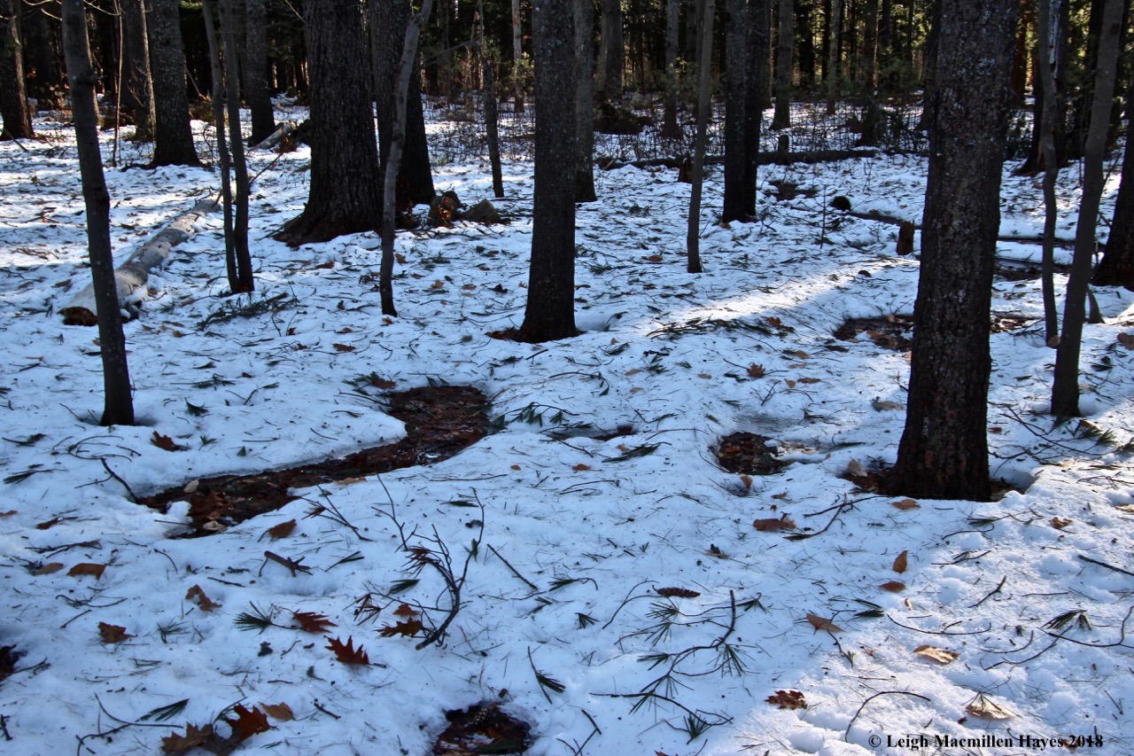 j4-snow thaw and debris
