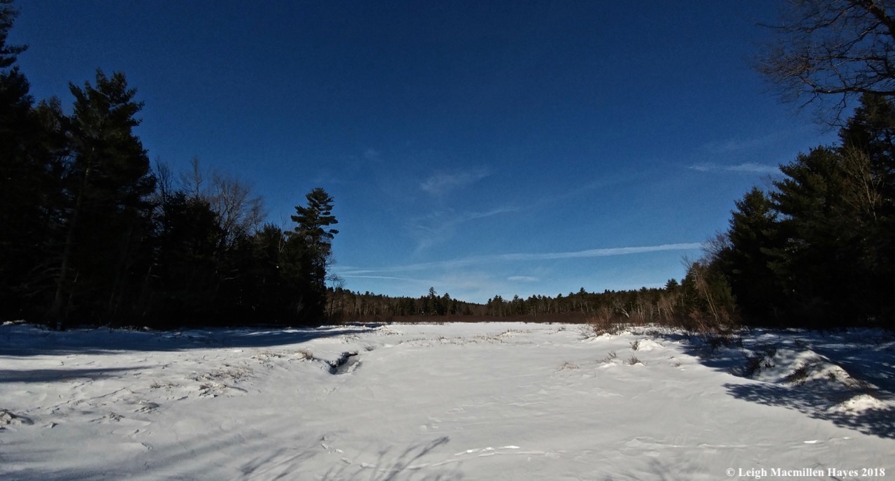 r10-tracks across the brook