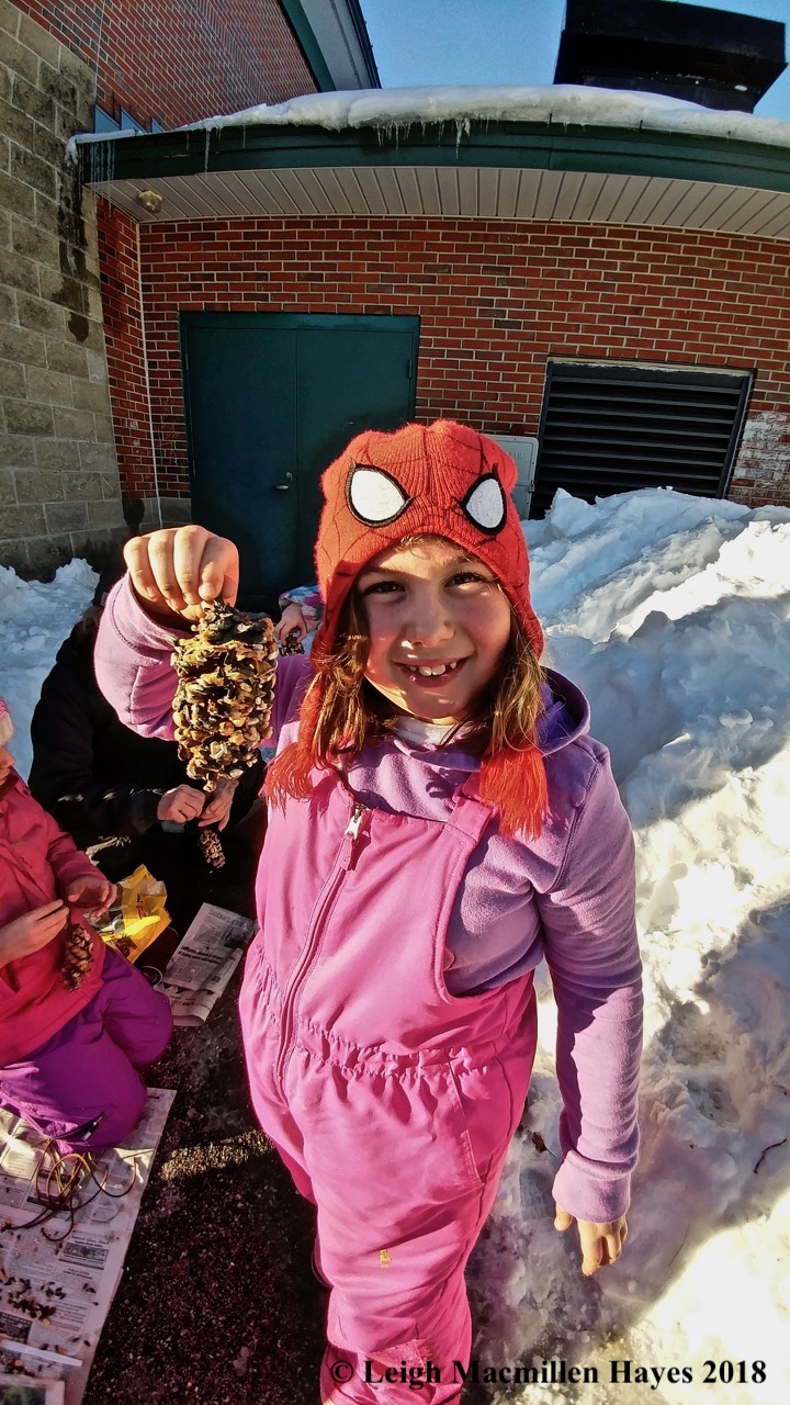 r21-pinecone birdfeeder by K