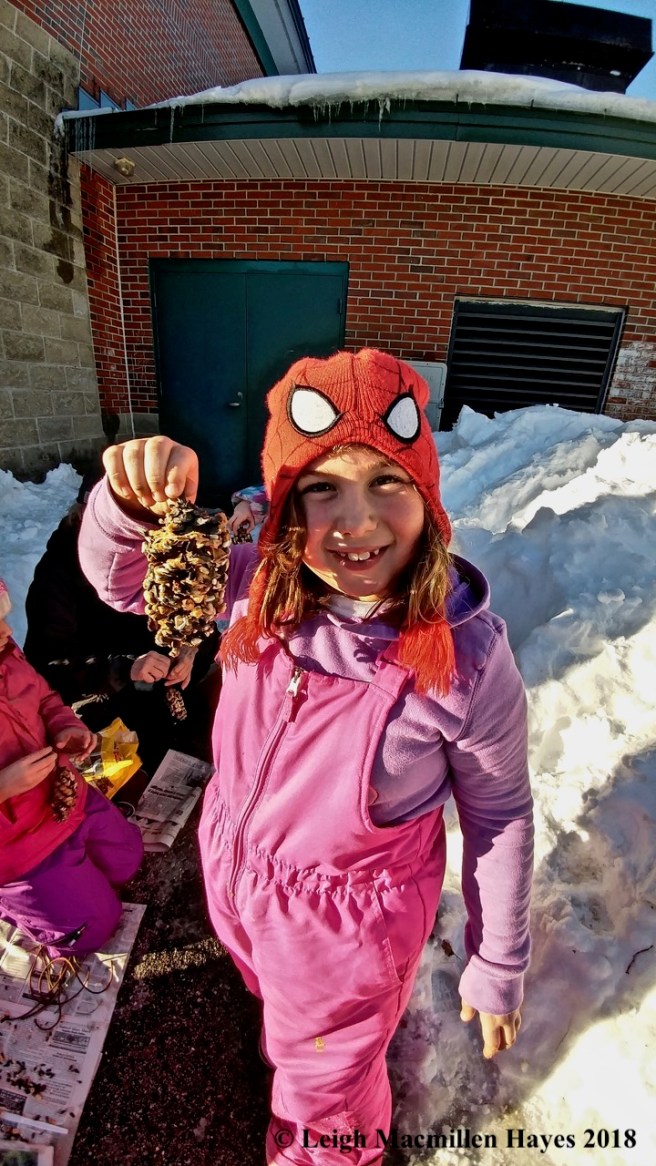 r21-pinecone birdfeeder by K