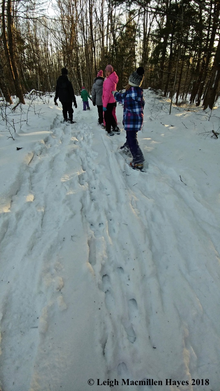 r23-walking beside deer tracks