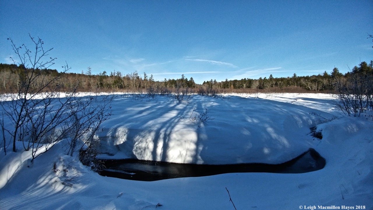r8-Meadow and Russell Brook
