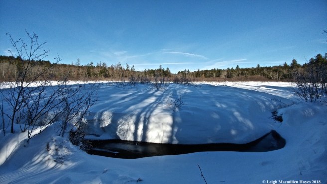 r8-Meadow and Russell Brook