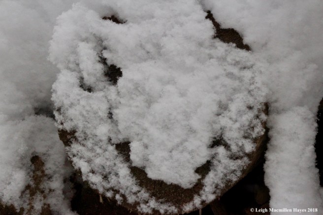 w-a smile and a wink