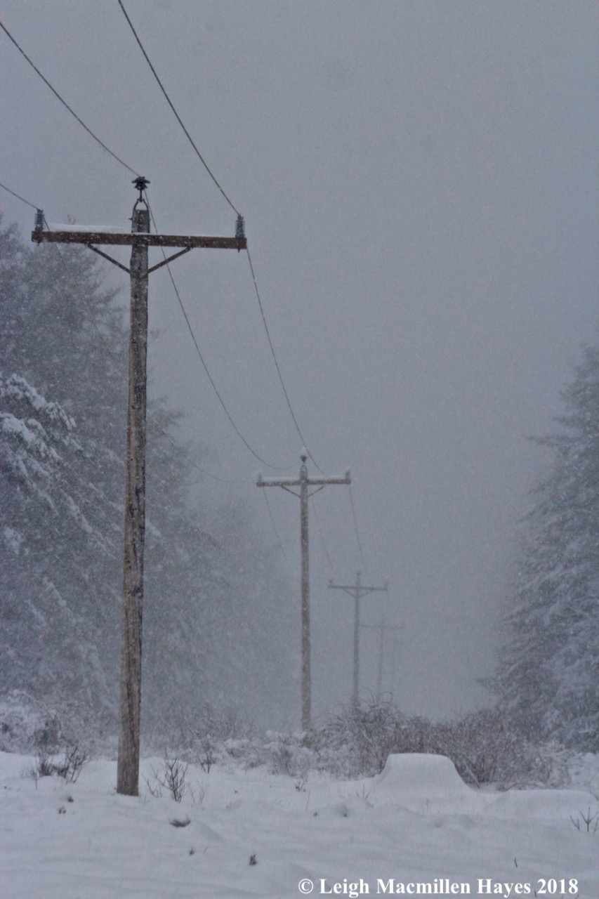 w-no Mount Washington in sight