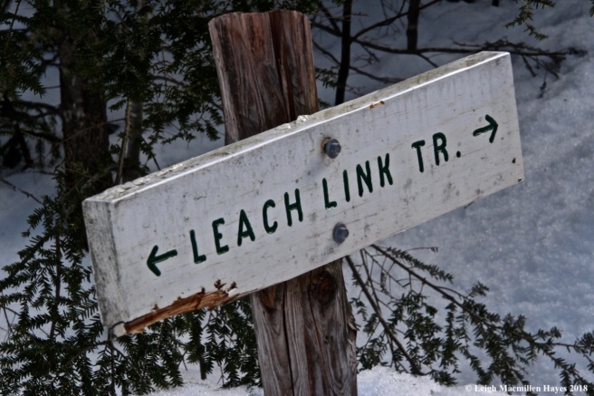 e21-Leach Link Trail sign