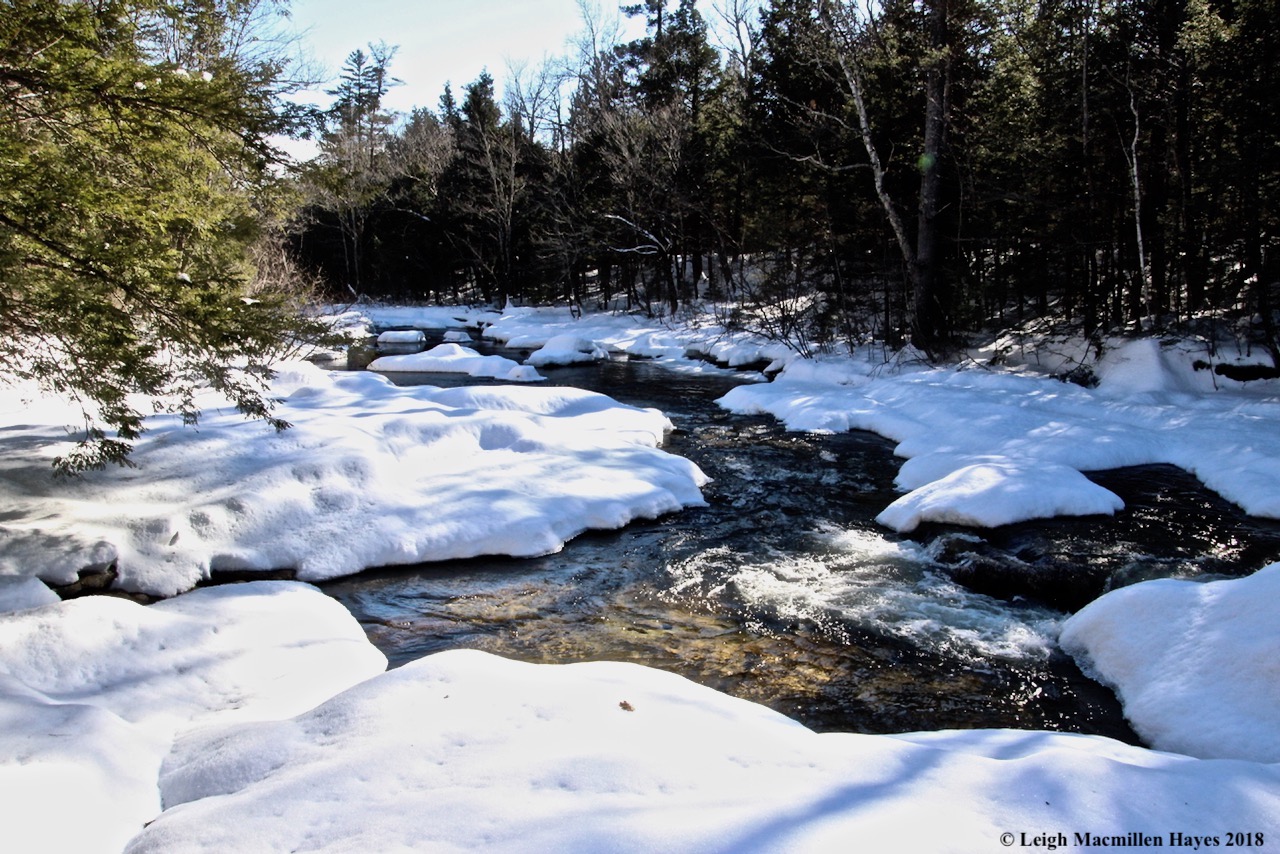 e27-Cold River flowing south