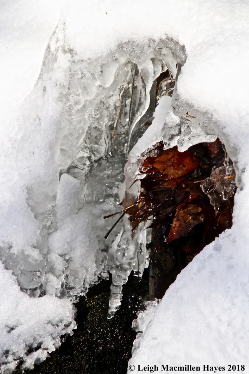m3-icicles at brook crossing