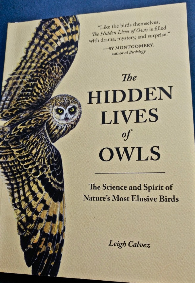 o-The Hidden Lives of Owls