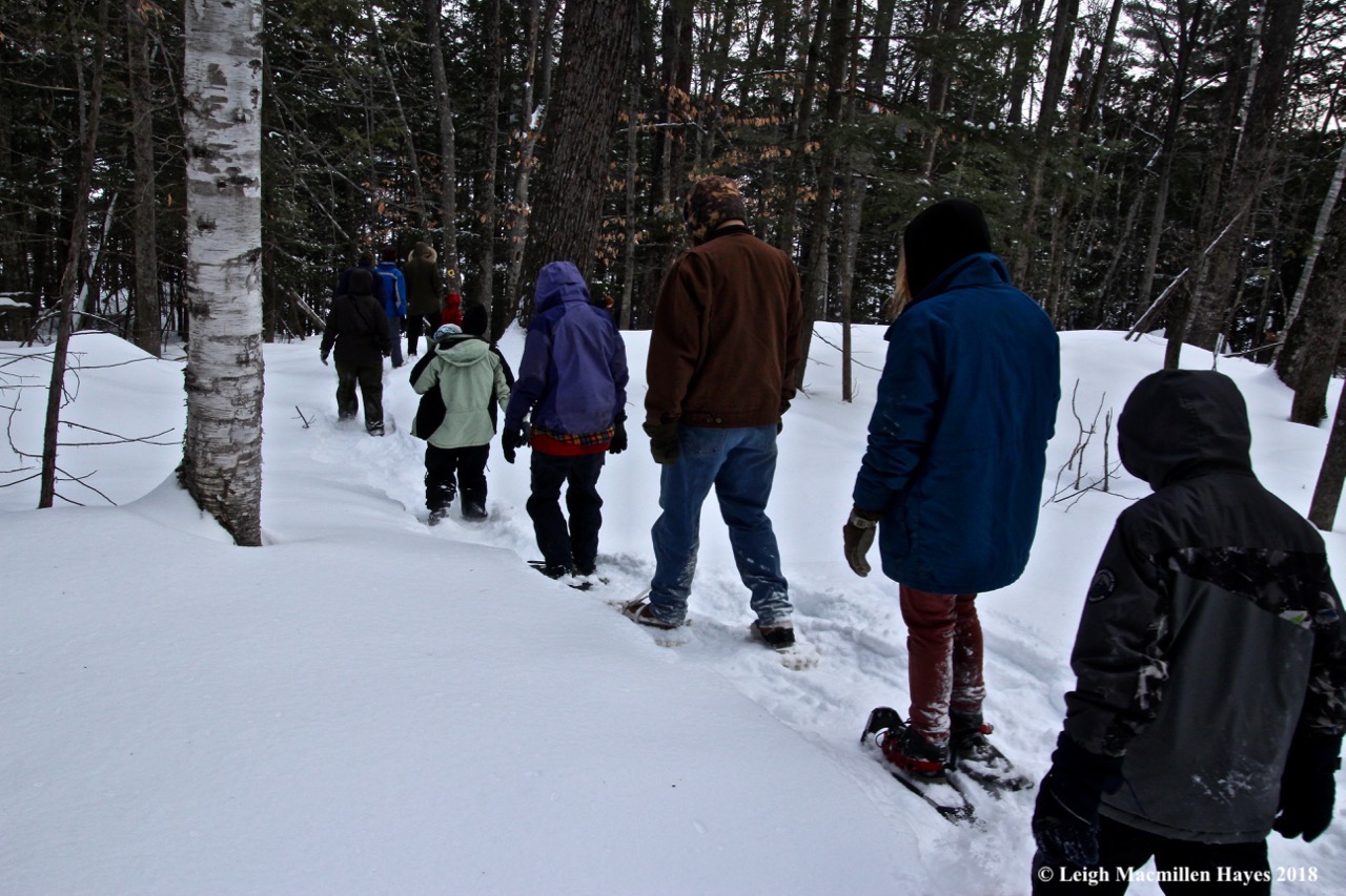 s1-into shepard's farm family preserve