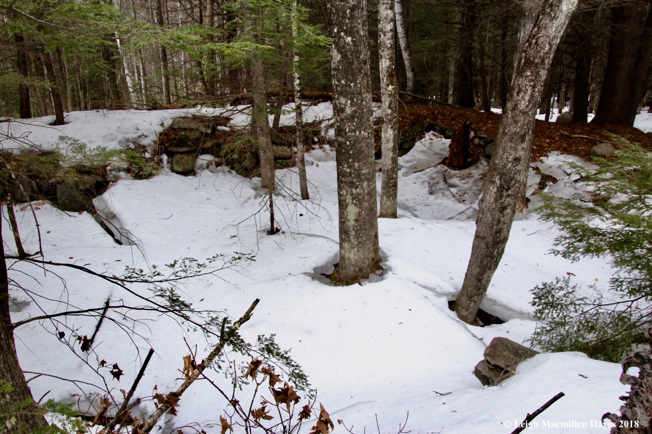 w-foundation filled with chunks of ice