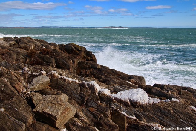 a34-sausage-shaped boudins