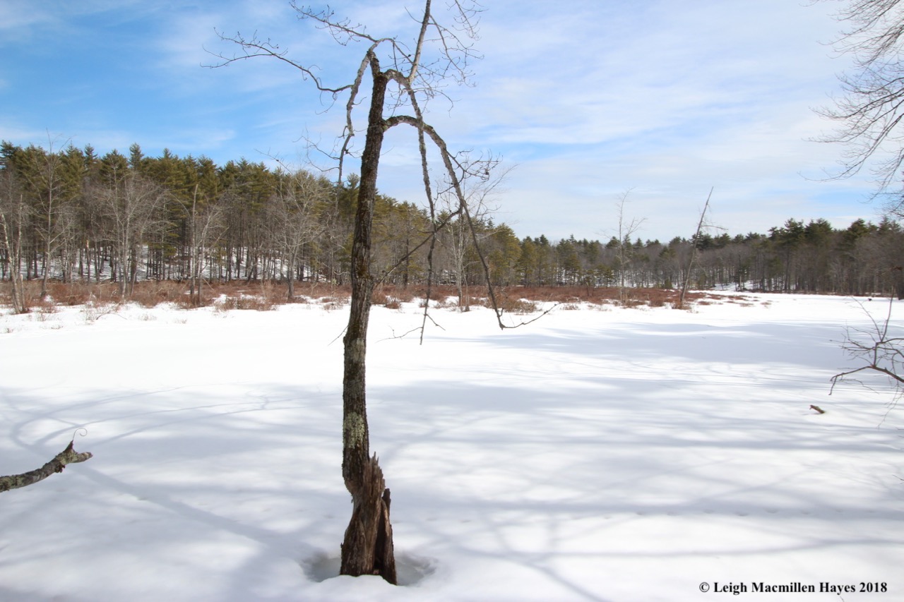 b15-from the other side