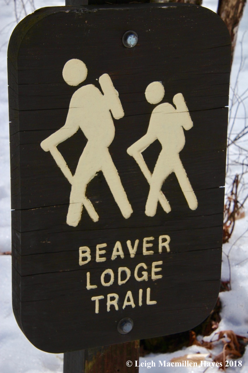 b19-beaver lodge trail