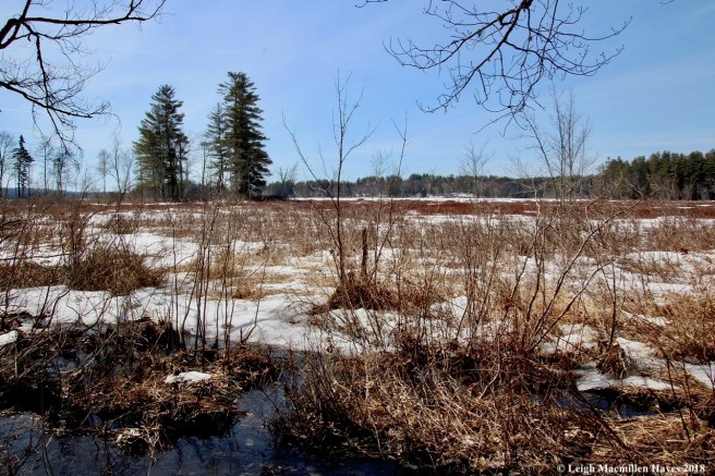 j5-sucker brook outlet into Kezar Lake's Lower Bay