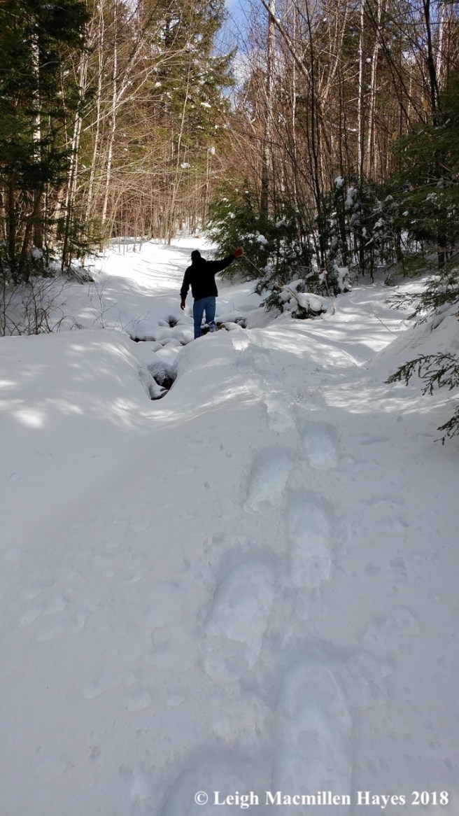 l6-onward and upward