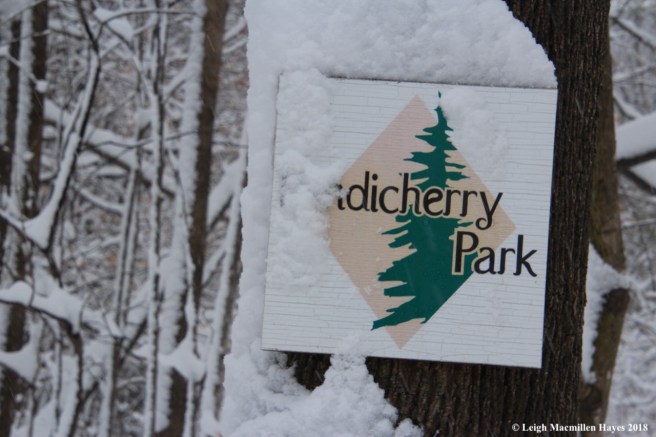 p-snow on park sign