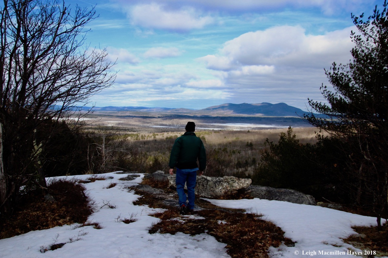 p16-Pleasant Mtn, Brownfield Bog
