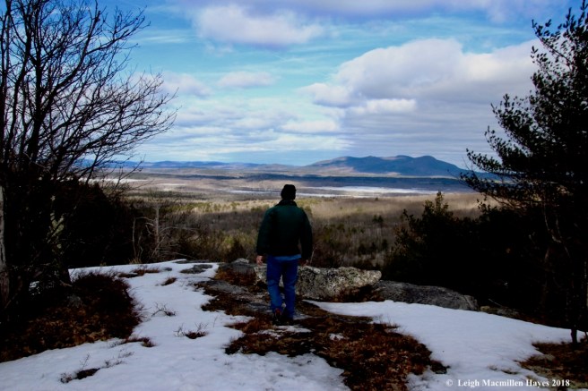 p16-Pleasant Mtn, Brownfield Bog
