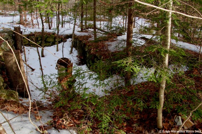 p17-another foundation