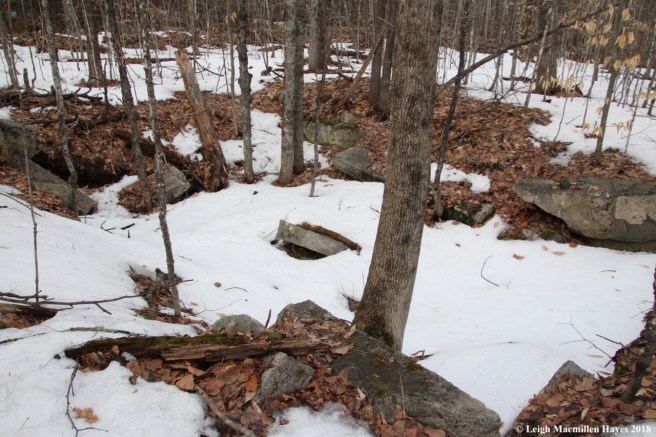 p19-third foundation