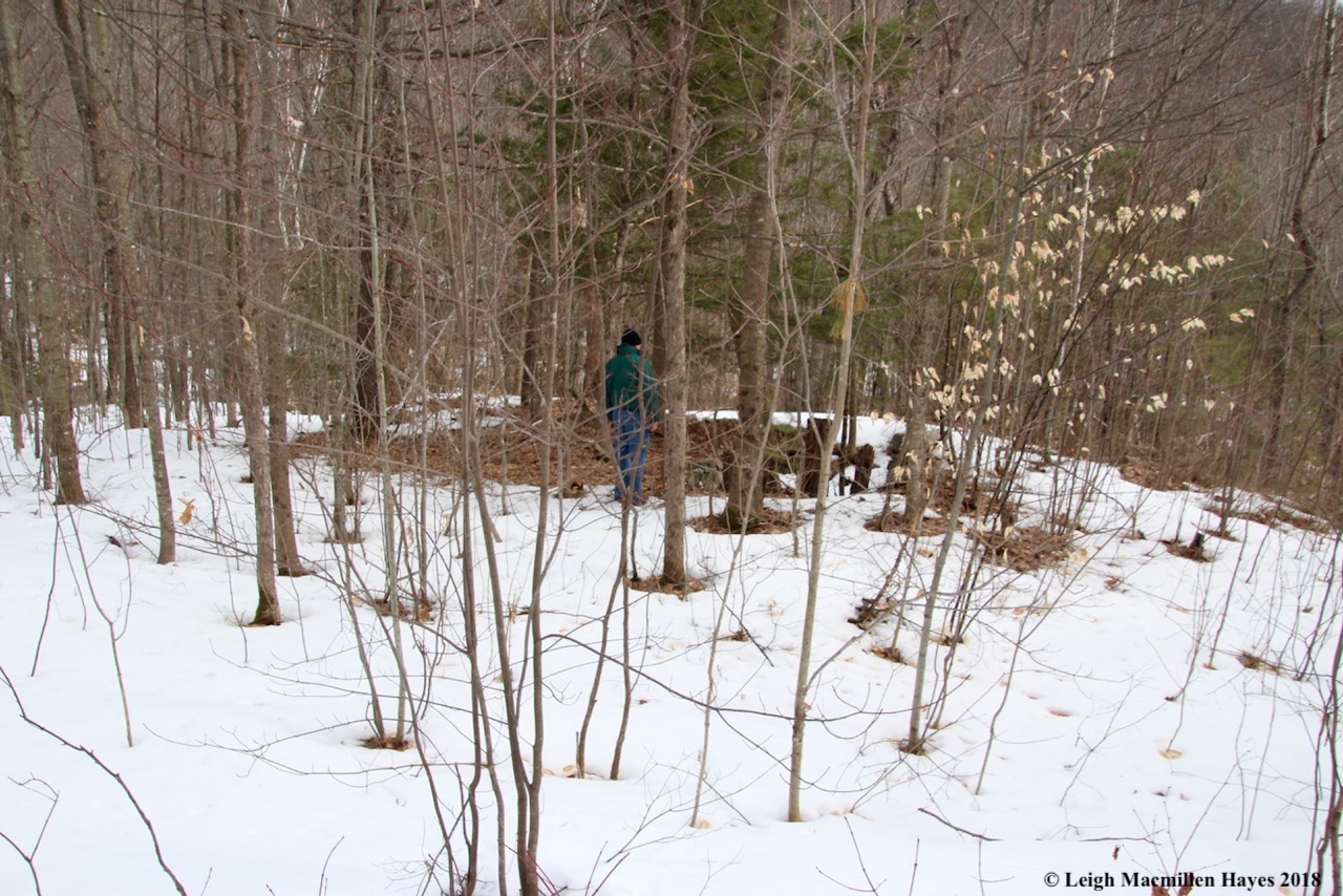 p24-another foundation