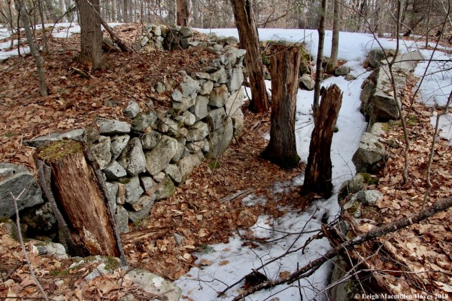 p25-fourth foundation