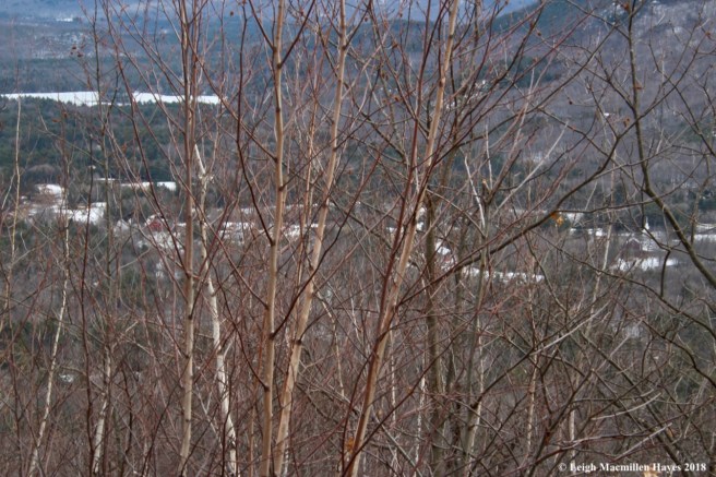 p33-Brownfield below