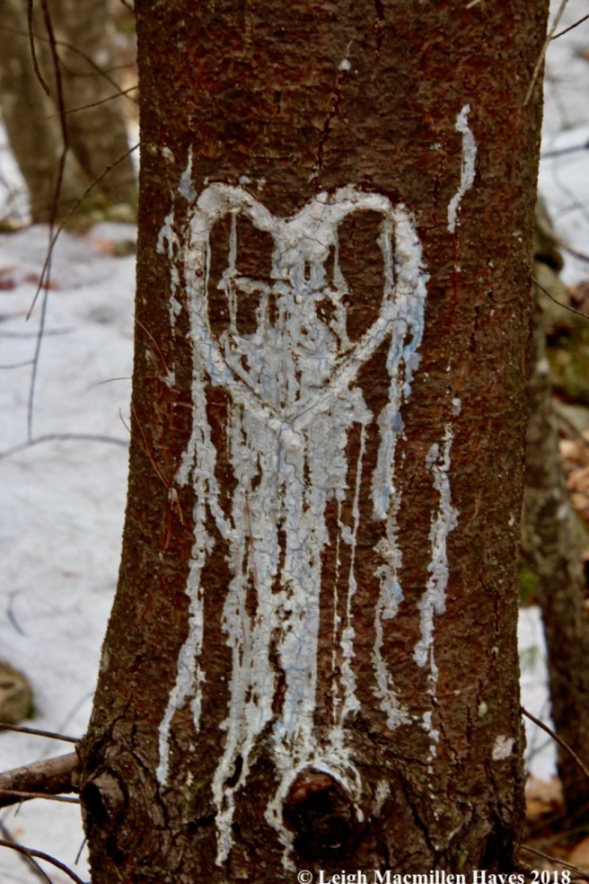 p34--my heart bleeds blue pine sap for you