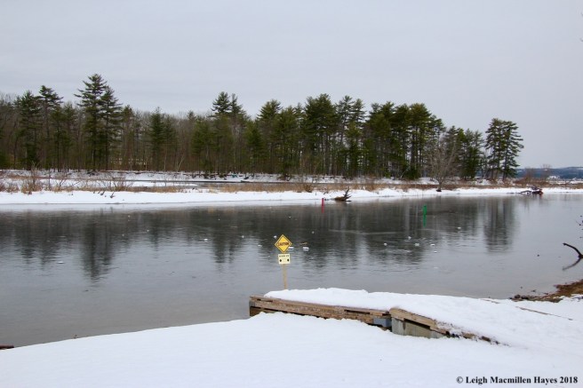 s1- Ice on Songo River