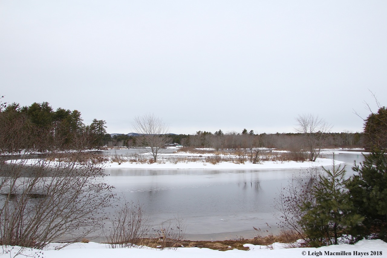 s13-back to the river