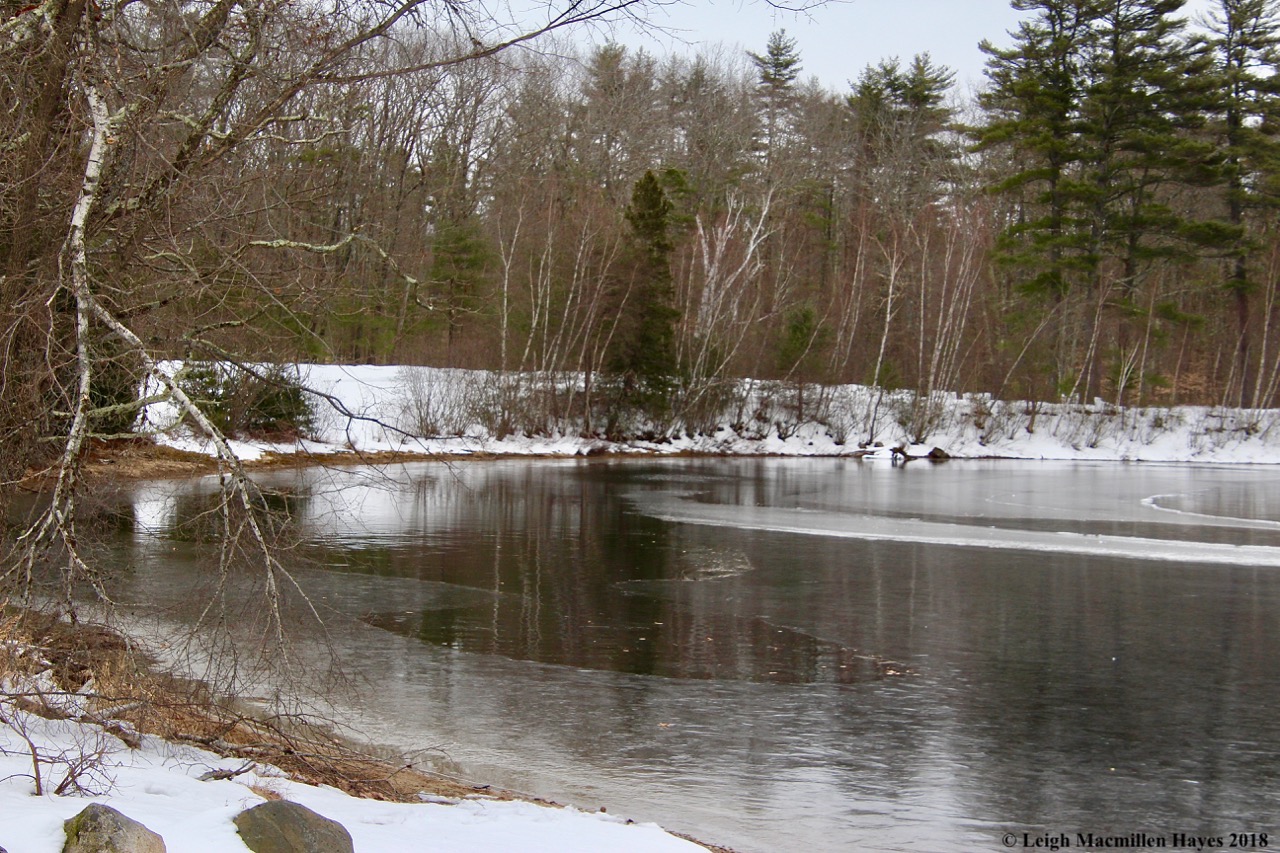 s2-Songo River curves