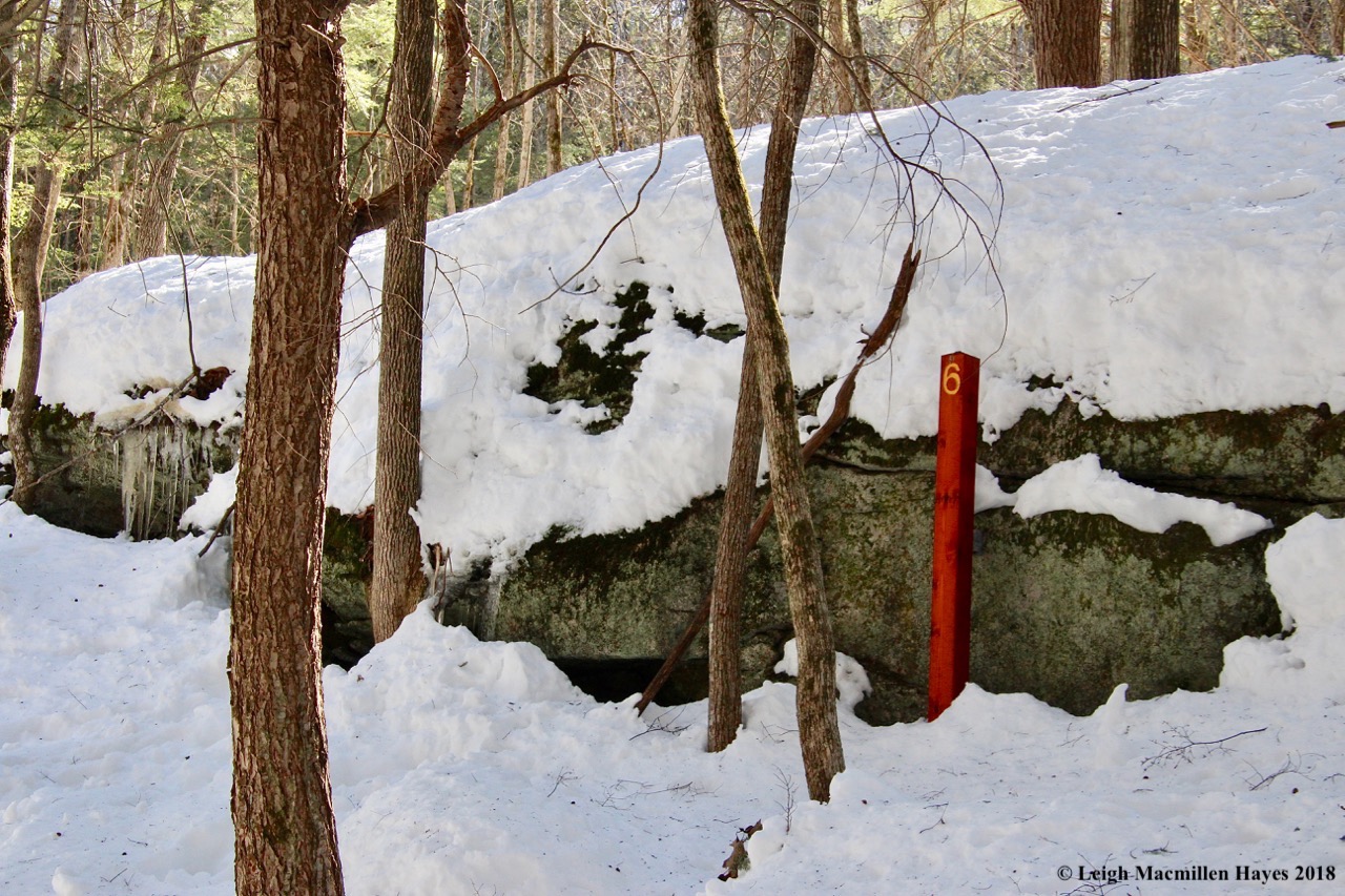 s26-ledge and life on a rock