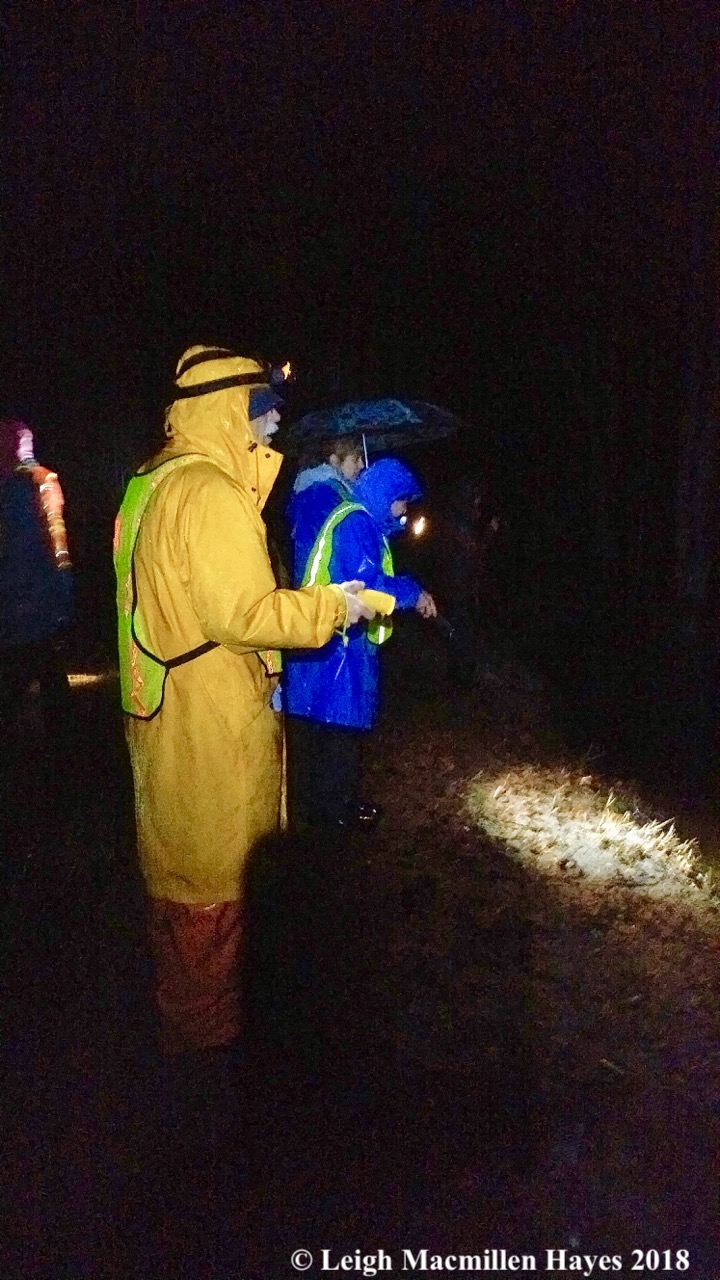 b14-into the vernal pool