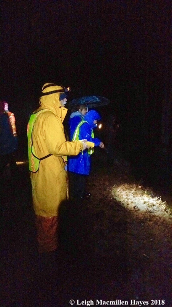 b14-into the vernal pool