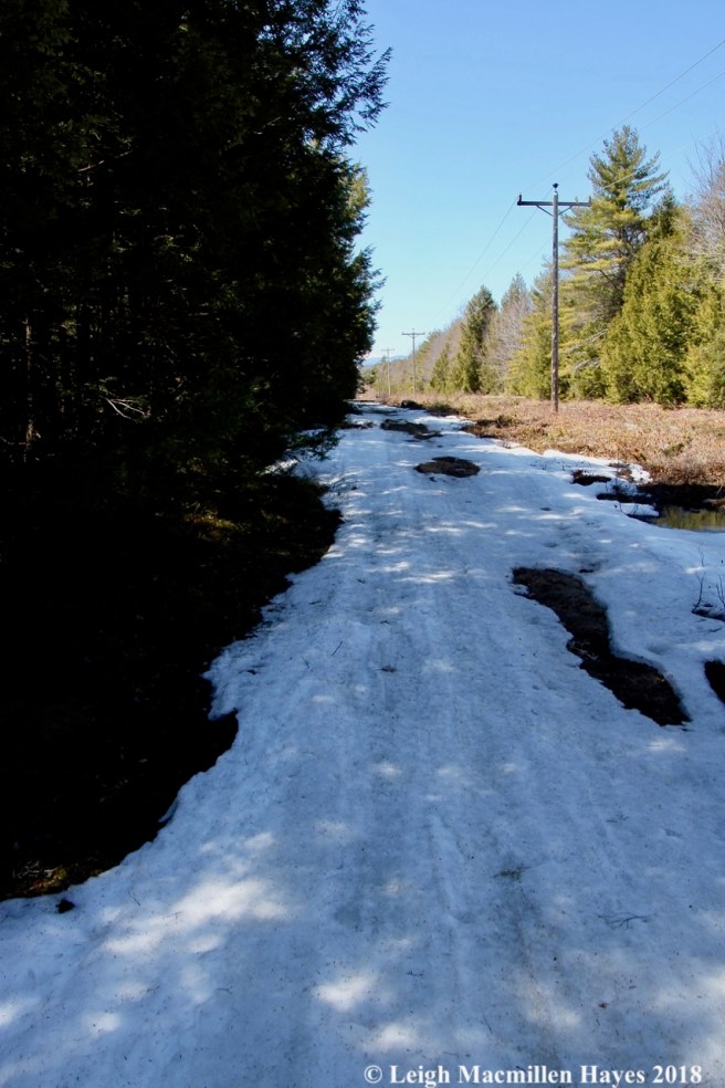 e11- snowmobile trail