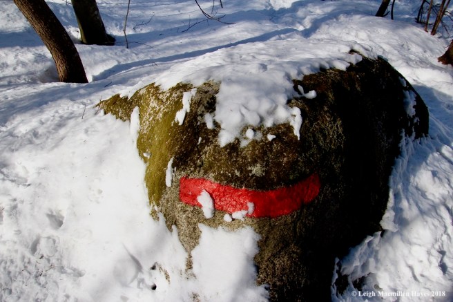 m12-marker curving 'round rock