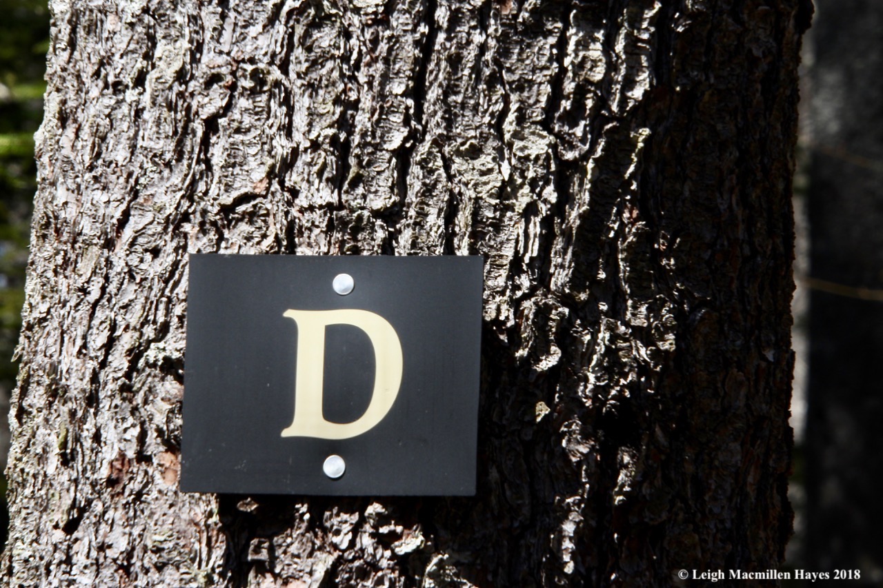 o12-scavenger hunt 1