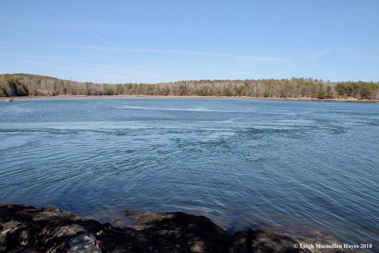 o14-rip where Back and Cross River met