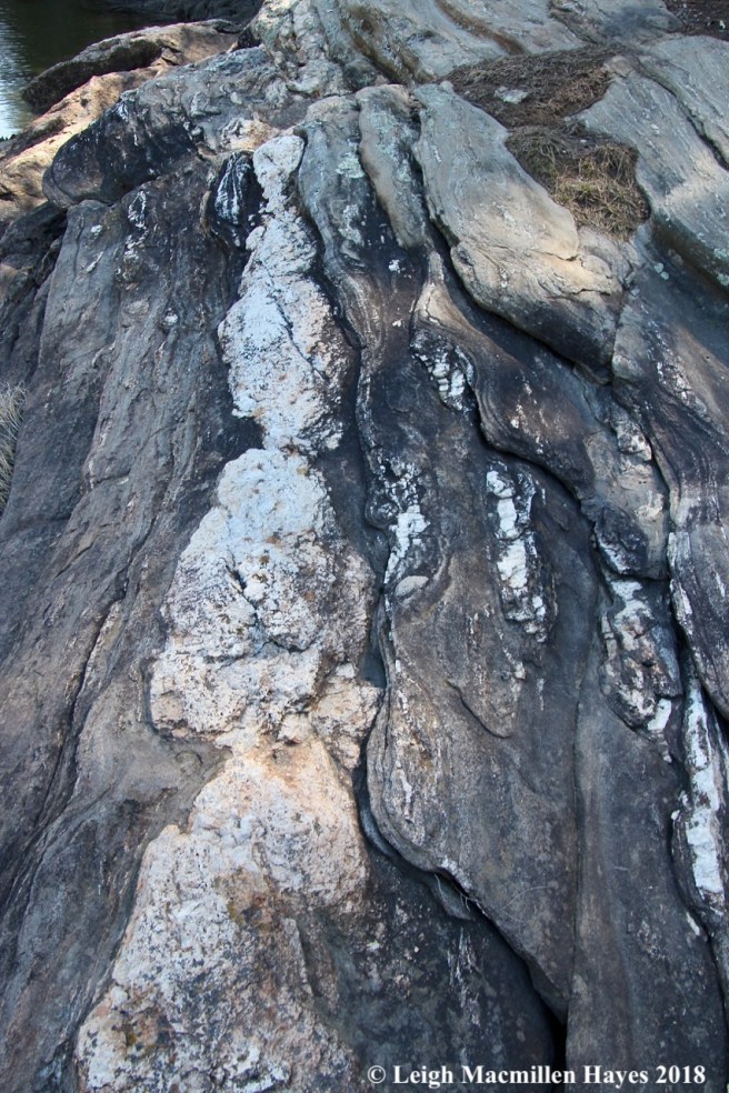 o15-sausage-shaped boudins