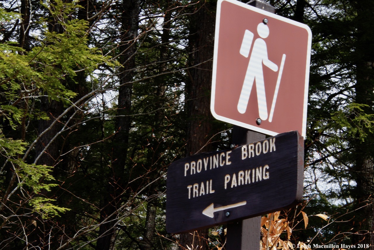 p1-trail sign