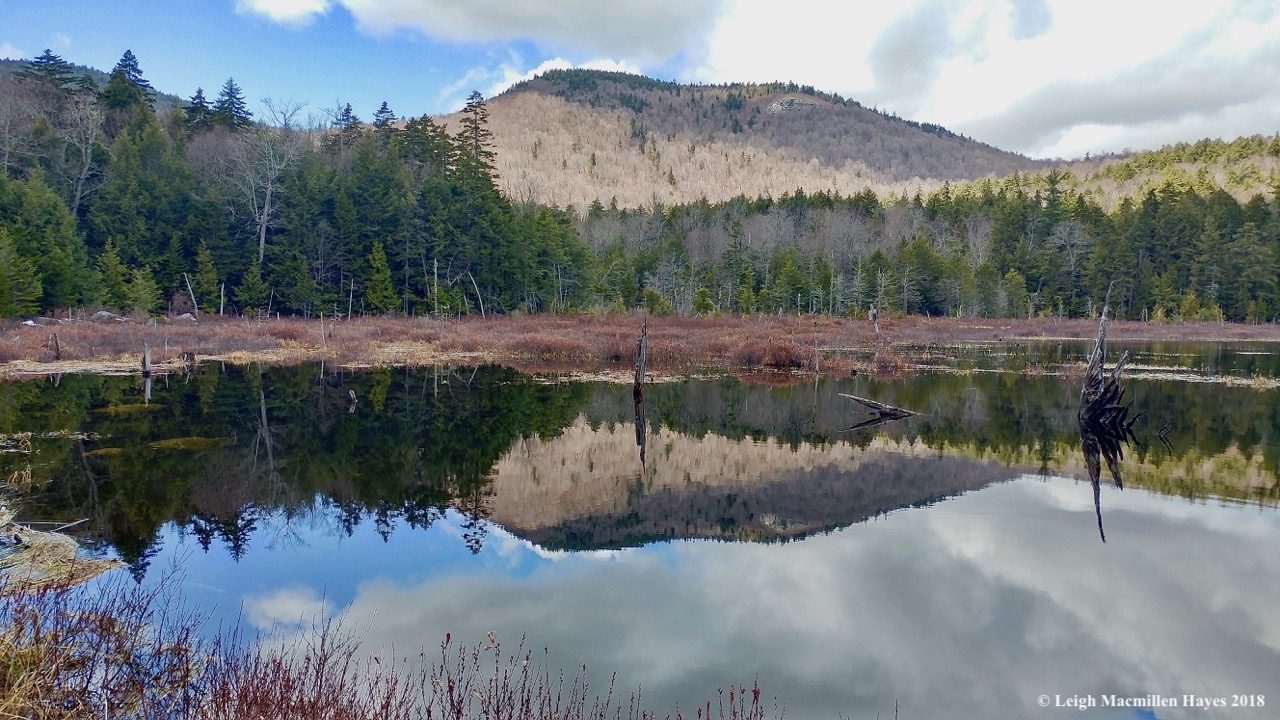 p12-Mount Shaw and Province Pond