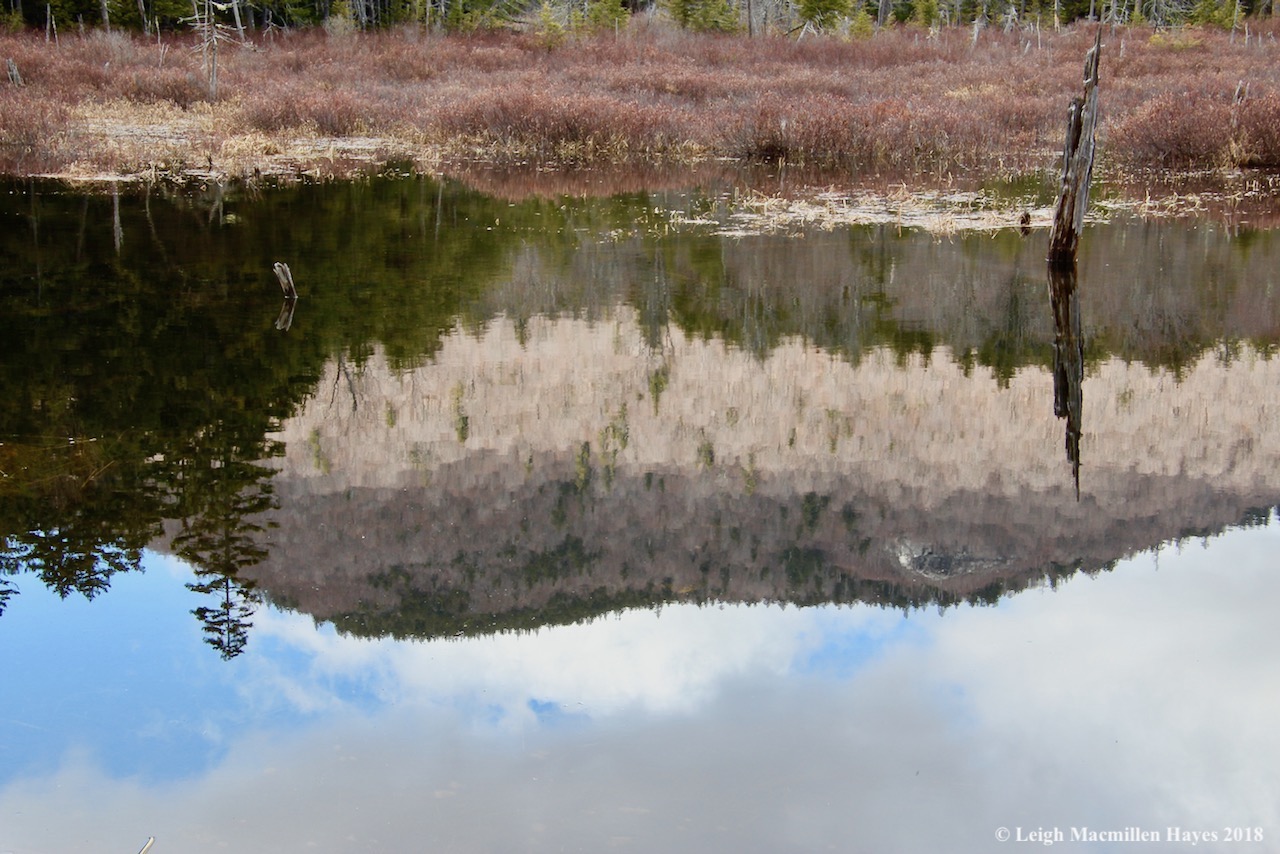 p13-Mount Shaw reflection