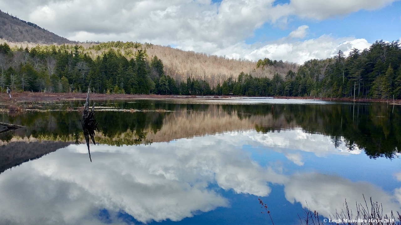 p14a-looking toward the shelter