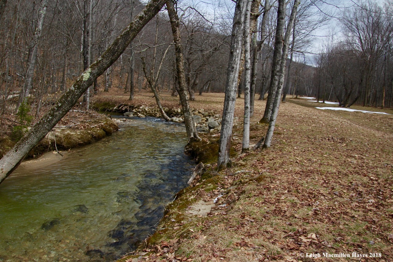 s11-Rattlesnake Brook