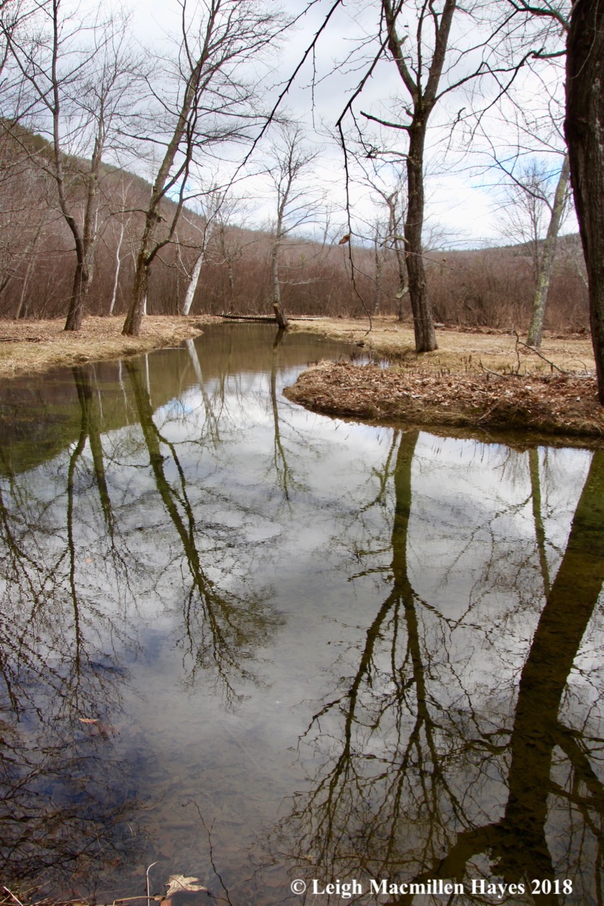 s17-rattlesnake brook