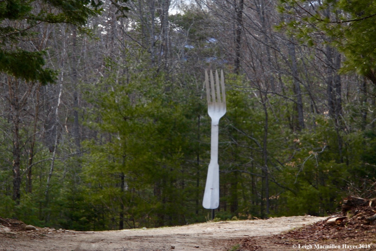 s27-fork in the road