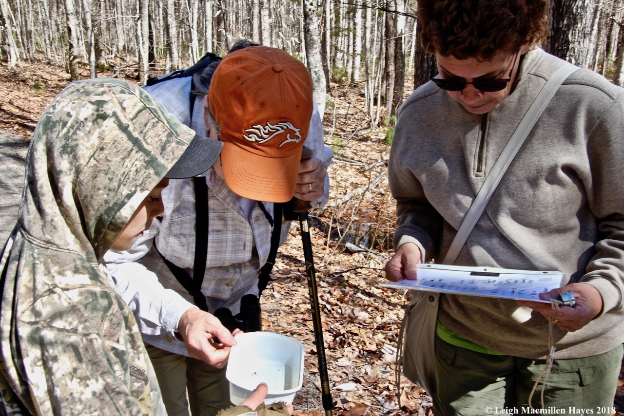 m3-what did you catch