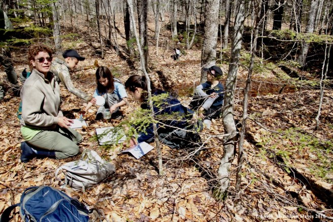 m7-examining species